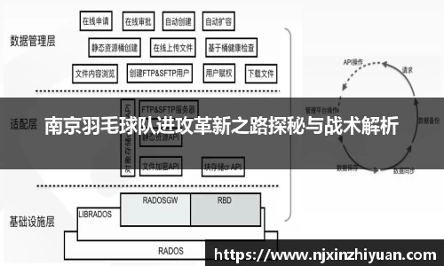 南京羽毛球队进攻革新之路探秘与战术解析